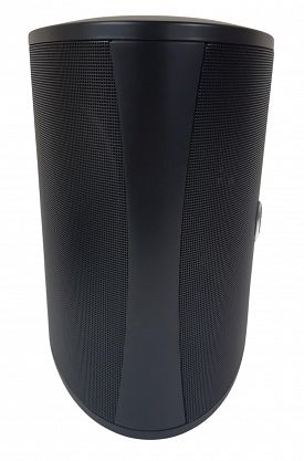 Okazja cenowa Definitive Technology AW 5500 AW5500 Black