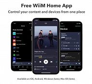 WiiM Amp PRO amplituner 1 strefa Dark Grey - 4