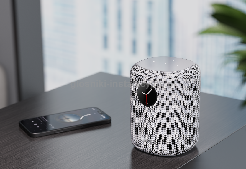 WiiM Sound bezprzewodowy głośnik Wi-Fi / BT White