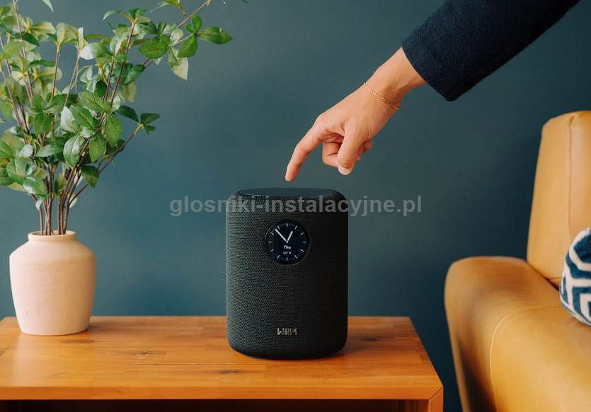 WiiM Sound bezprzewodowy głośnik Wi-Fi / BT Black