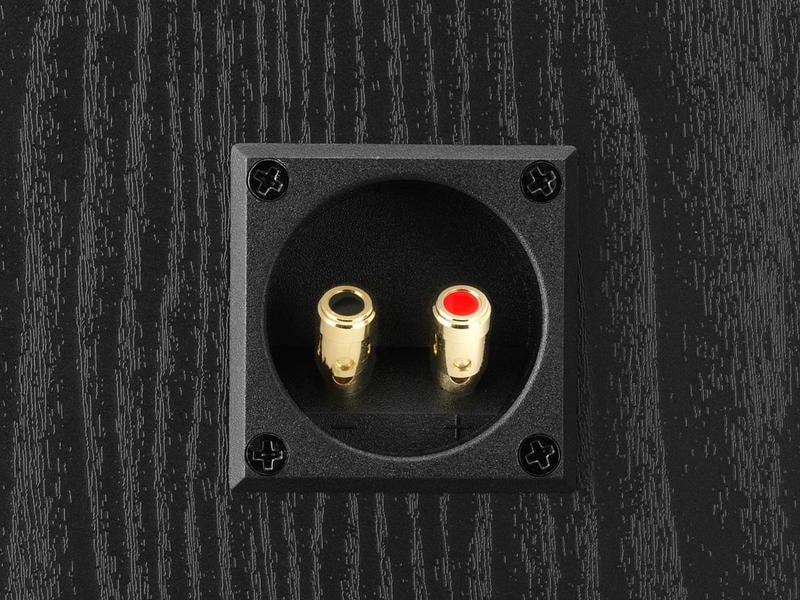 Dali Alteco C-1 Black back