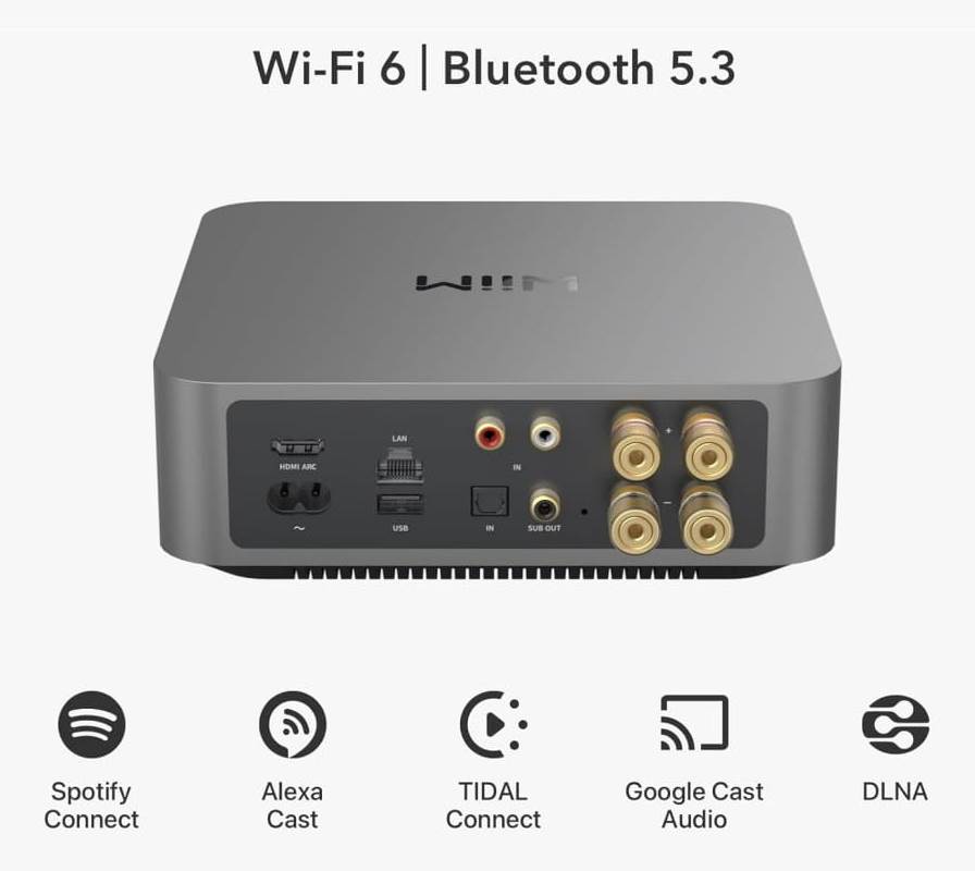 Wiim AMP PRO Dark Grey back