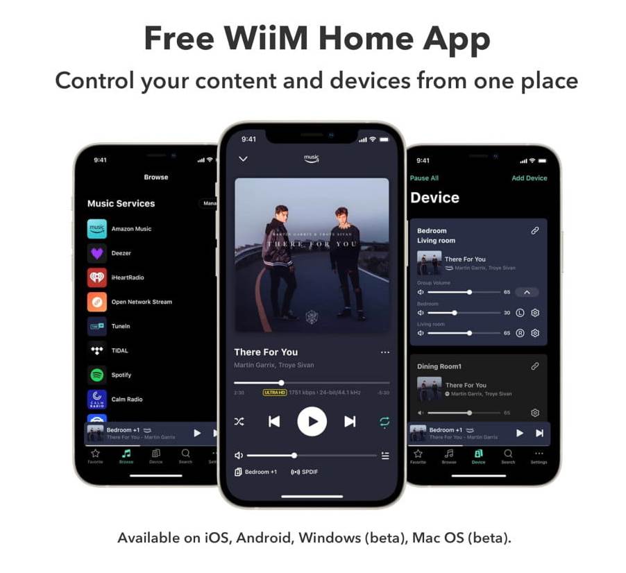 Wiim AMP PRO amplituner 1 strefa
